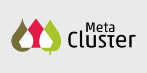 Meta Cluster